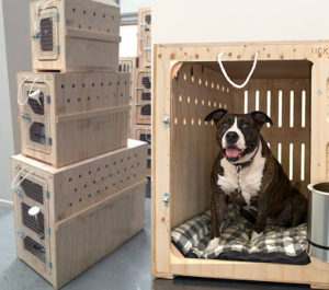caixas-de-madeira-para-transportar-cachorros-003-1.jpg